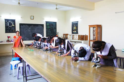 Biology lab session